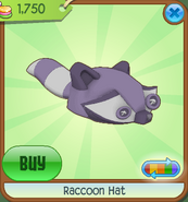 Raccoonhat03