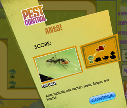 Pest Control Animal Jam Classic Wiki Fandom