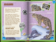 Snow Leopard p5