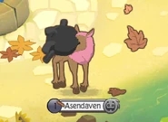 A glitch where the head of a Moose is shown when it wears a Phantom Mask while playing.