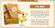 Pet Joeys release advertised in The Daily Explorer