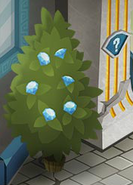 The plants in the Diamond Shop are covered in Diamonds.