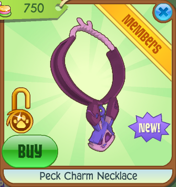 Charm necklace aj clearance