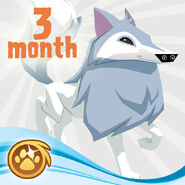 ArcticWolf AnimalJam Retail Gift Card