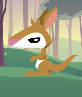 Pet joey1