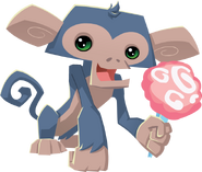 Monkey holding cotton candy