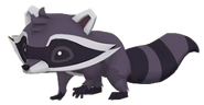Raccoon Artwork 1.png (44 KB)
