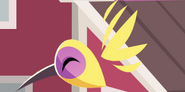 The hummingbird as it appears on Animal Jam's homescreen in August 2018 and 2019.