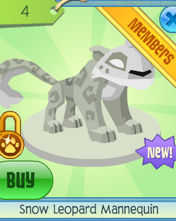 Snow Leopard Mannequin Animal Jam Wiki Fandom Full and absolute credit to andrewj04, the snow leopard. animal jam wiki fandom