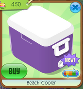Beach Cooler 2