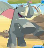 Updated Elephant