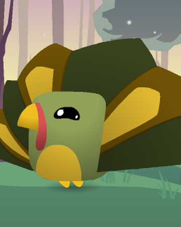Pet Turkey Animal Jam Wiki Fandom