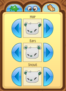 Bearfeatures4.png (49 KB)