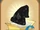 Blackout Cape