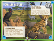 Cheetahs Minibook 2