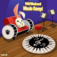 An advertisement for the Music Camp collection in The Daily Explorer.