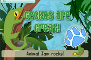 Jam a gram gecko