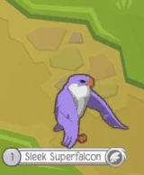 Hop