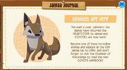 Coyote official release message from the Jamaa Journal.