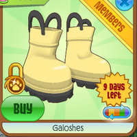 buy galoshes