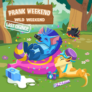 An advertisement for a last chance to get the Prank Weekend items in The Daily Explorer.