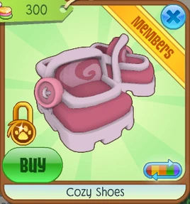 Cozy Shoes