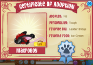 An example of a Rare pet certificate