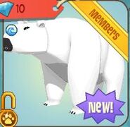 A Polar Bear in the Diamond Shop.