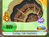 Turkey Tail Feathers