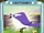 Pet Sparrow