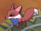 Fox Rare-Big-Bow