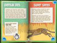 Cheetahs Minibook 4