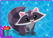 MatsuriFestivalBundleRaccoon.png (244 KB)