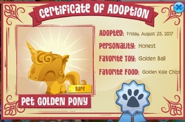 Pet golden pony