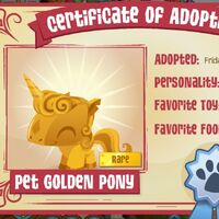 golden pony shoes
