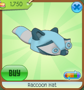 Raccoonhat05