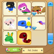 A glitch where the pets after the snake are missing