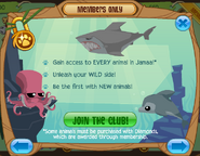 Members-Only-Ad Animals-Ocean