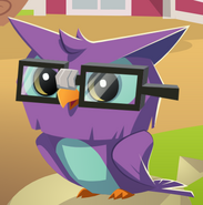 The owl as it appears on Animal Jam's homescreen in August 2018