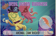 Best Ocean Buddies!