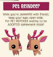 The 2018 Jamaa Journal advertising the Pet Reindeer