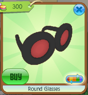 Round glasses4