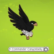 A clothing glitch that occurs when an Eagle wears a Tutu