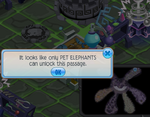 Bitter-Sweets Pet-Elephant-Passage