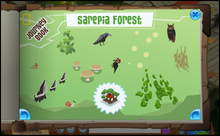 Journey Book of Sarepia Forest-0