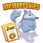 Membership-DailyExplorer