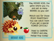 Hedge Hog introduction announced in the Jamaa Journal