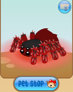 The certificate button on the My Pets screen