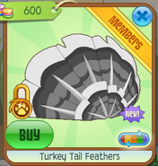 Turkey Tail Feathers 6