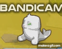 Seal | Animal Jam Classic Wiki | Fandom Seal | Animal Jam Classic Wiki | Fandom